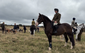 Quality Irish Cob