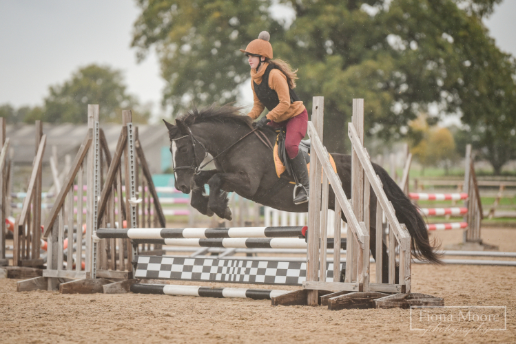 Fun 13.3hh Fellx Experienced Pony Club Pony
