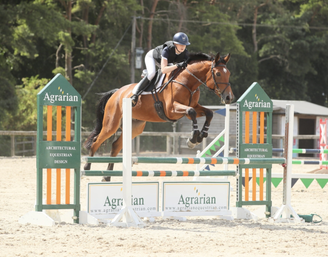 EXCEPTIONALLY SMART YOUNG HORSE - POTENTIAL EVENT / WH / ALLROUNDER
