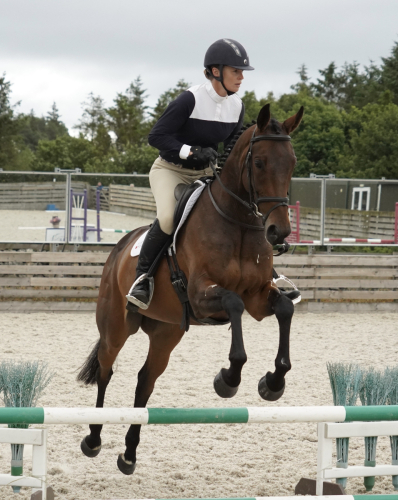 Sweet TB Mare with super jump
