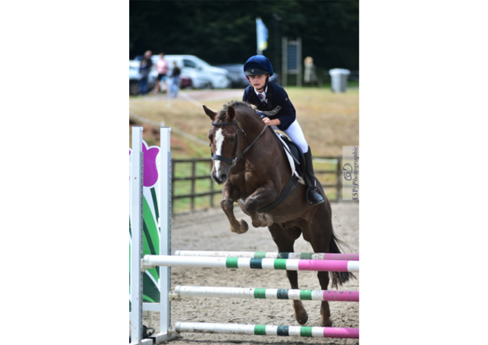 One size fits all family pony