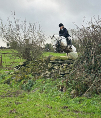 Top Class 13.2hh Gelding