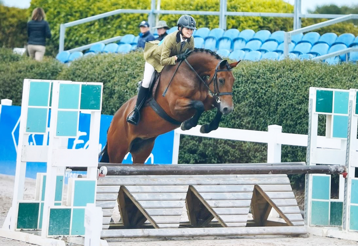 Lovely Quiet, Confidence Giving Irish Mare - Allrounder / Hunt / PC / WH / Mother Daughter Share