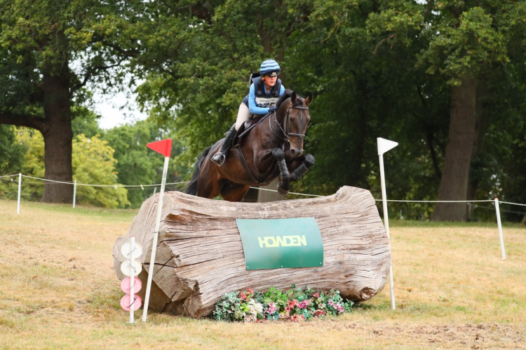 Tinkers Time 11 year old 16'2 gelding by Montreux Tale