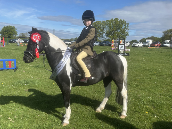 Fabulous Pony Club pony