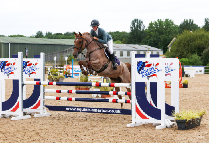 Lovely 14.2hh