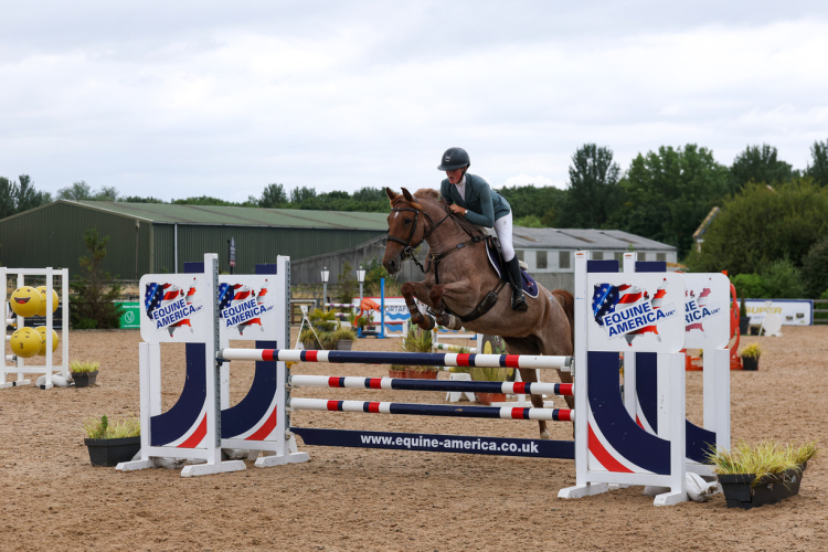Lovey 14.2hh