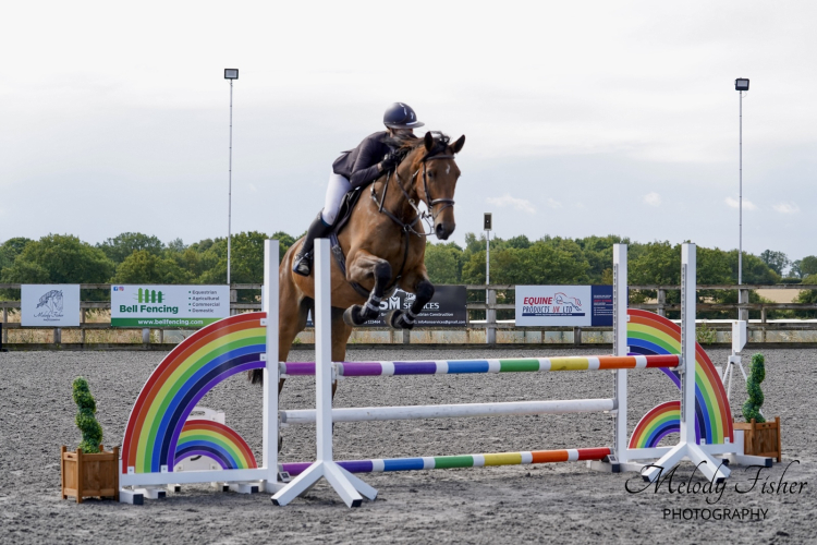 Young Prospect for SJ/Eventing/Hunting