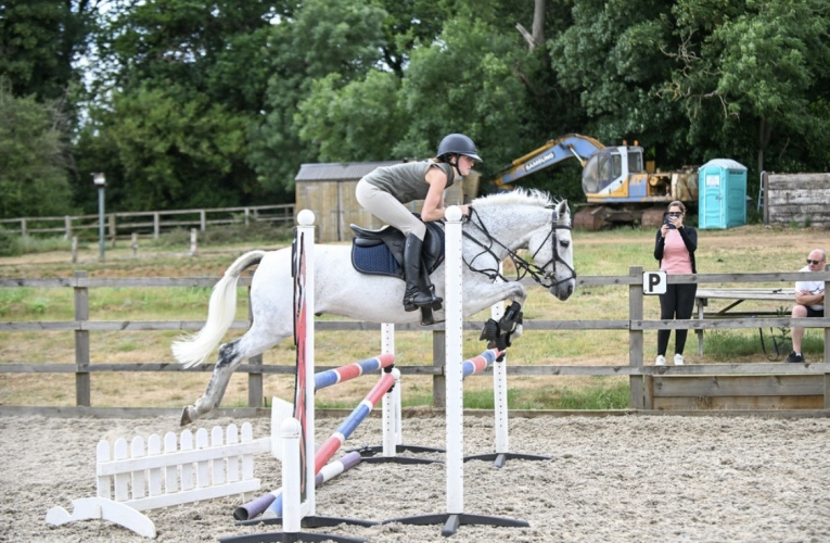 15hh, 12 year old Connemara Gelding