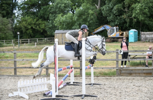 15hh, 12 year old Connemara Gelding