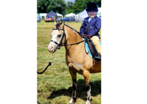 Lead Rein pony 