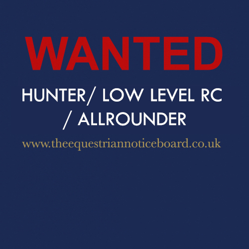 WANTED - hunting/low level riding club horse