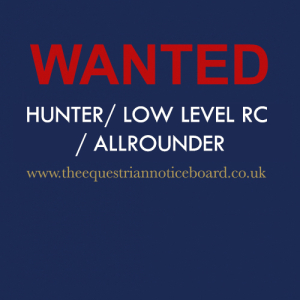 WANTED - hunting/low level riding club horse
