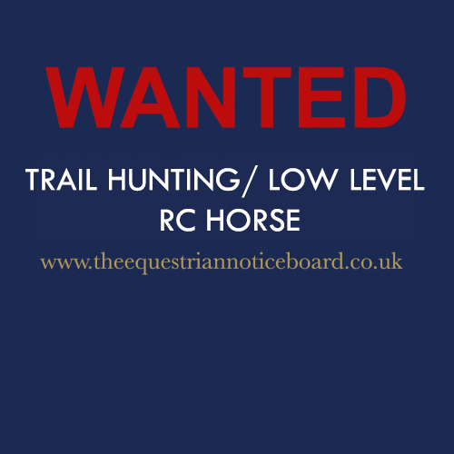 WANTED - hunting/low level riding club horse