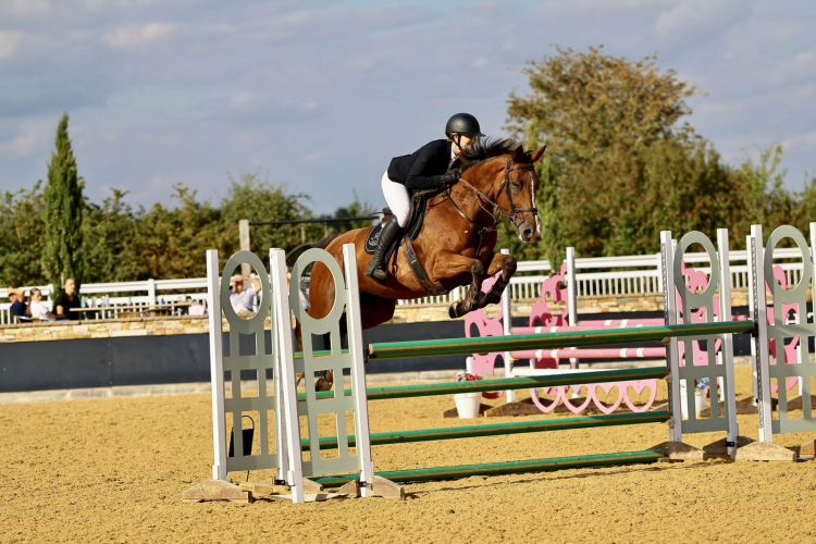 Smart 8yr old mare with huge potential