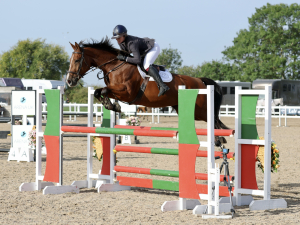 Smart 8yr old mare with huge potential 