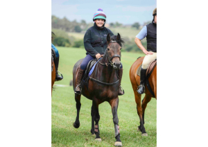 Hombred filly by Langaller Kings Manna 