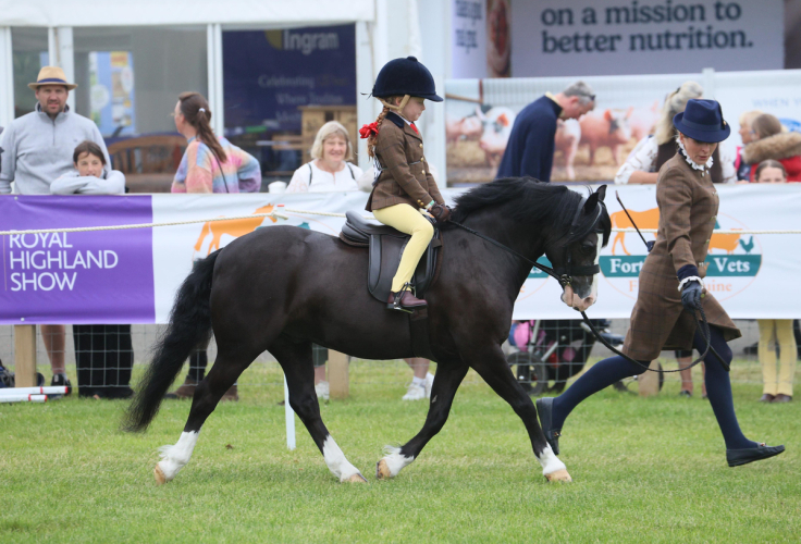 Fantastic lead rein & whp