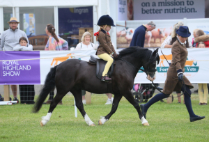 Fantastic lead rein & whp 