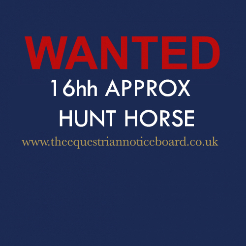 Hunter Wanted
