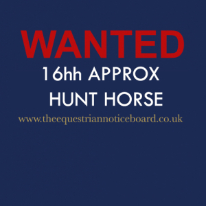 Hunter Wanted