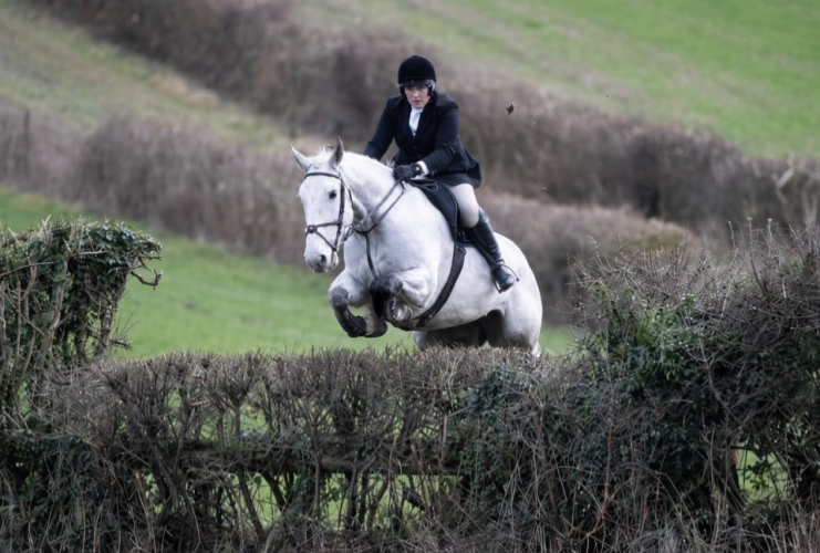 16hh Irish 13yo Grey Irish Draught Mare – Experienced Hunting Schoolmistress