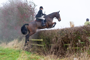 Talented Hunter/Allrounder