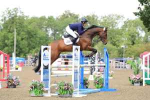 Potential 1.30 Star & easy ride 