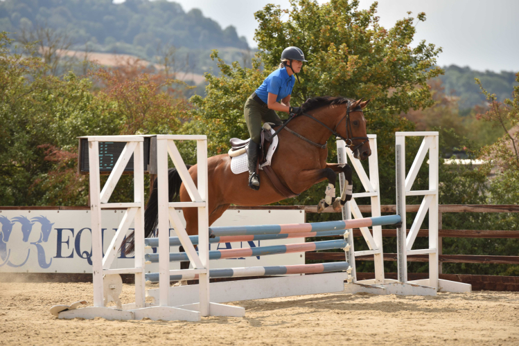 Very cool allround mare