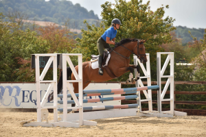 Very cool allround mare 