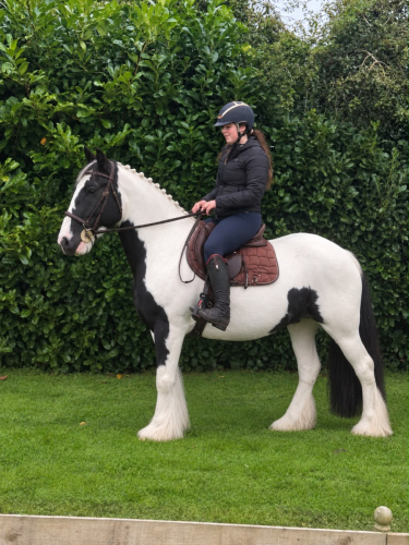 Super Easy Cob