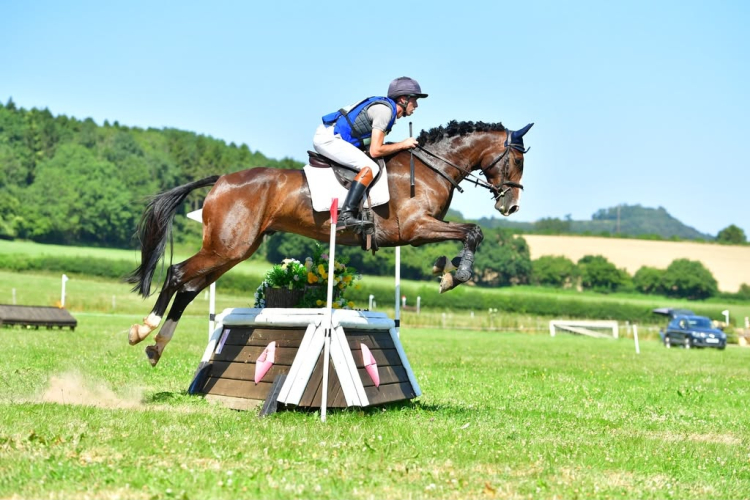 Toby- Exceptionally talented young event horse
