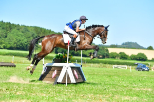Toby- Exceptionally talented young event horse 
