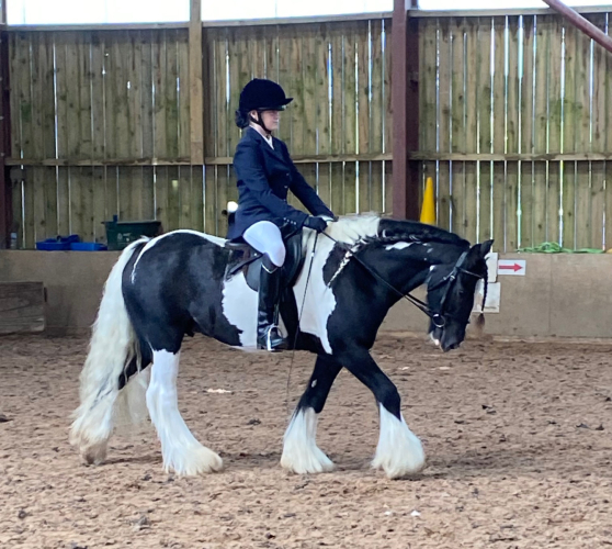Striking little Coblet with huge potential