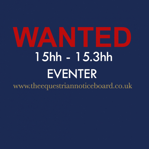 WANTED 15h to 15.3 approx