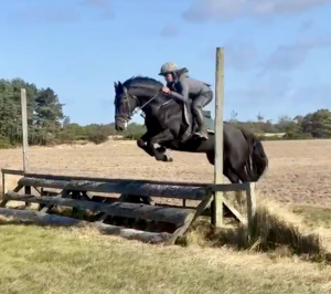 Eyecatching mare with lots of potential 