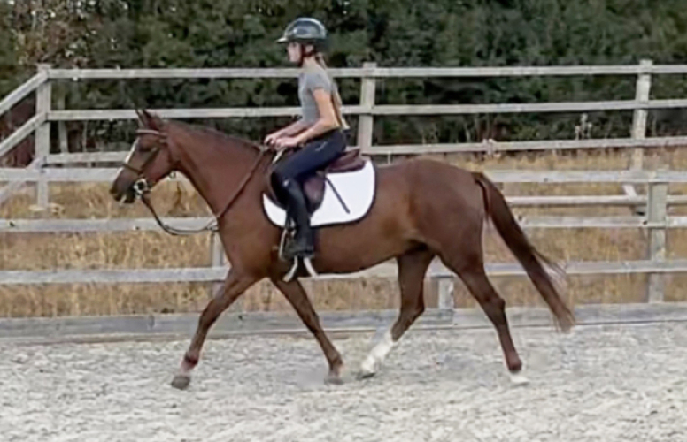Kind and Genuine PC/Allrounder