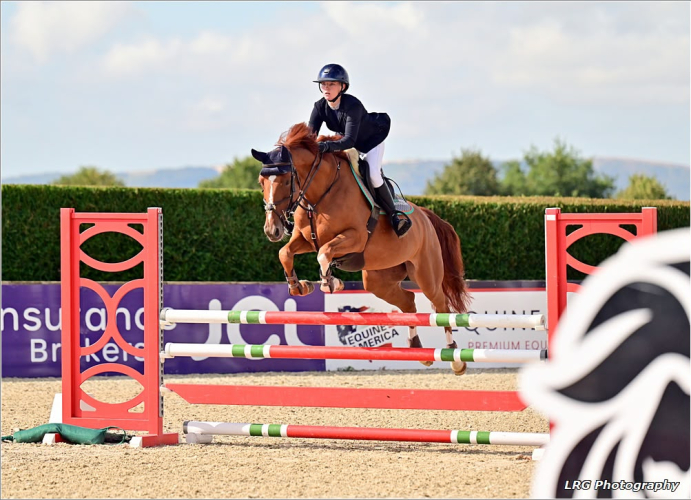 Seriously exciting young showjumper with pedigree, quality & natural ability