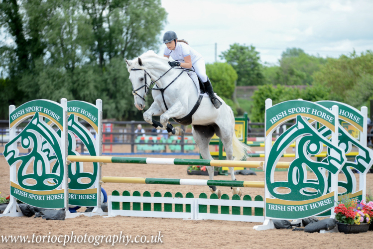 Stunning 17.1hh 8yo Traditional Irish Grey Mare – Proven Hunter / Careful SJ / Event Prospect