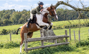 ✨ STAR — 15.3hh Skewbald Mare ✨
