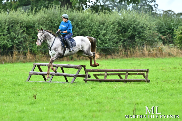 Appaloosa mare