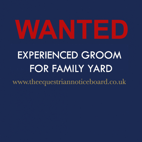 Experienced Groom wanted
