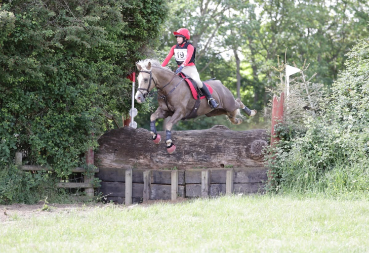 Exceptional 14.2hh