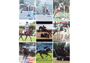 Super NF Competition Pony