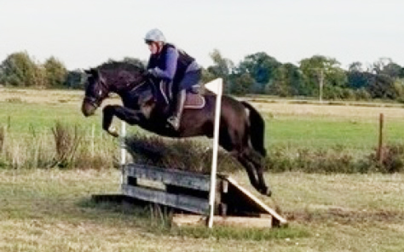 Promising Allrounder