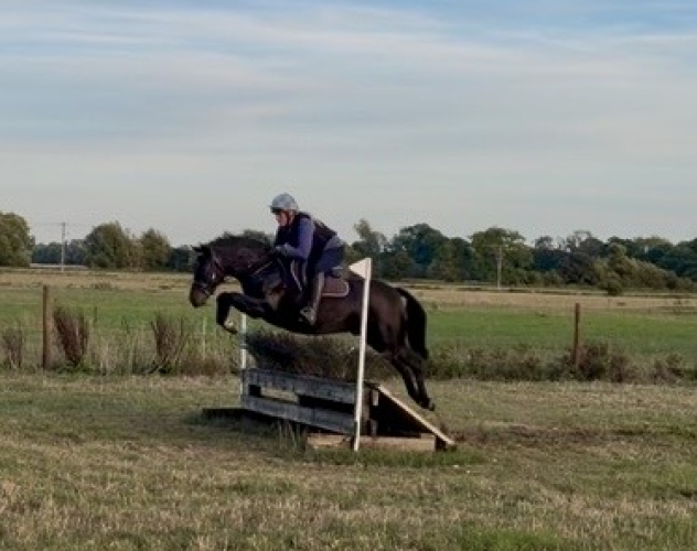 Promising Allrounder