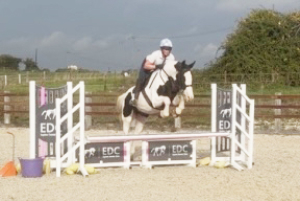 Hunter - Allrounder