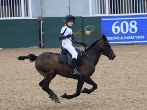 Sonny- Bold & brave 12.3hh gelding - loves MG, Polocrosse and Pony Club