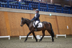 Beautiful fun pony club pony
