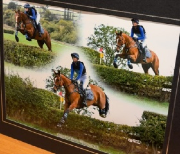 Reliable all rounder/ hunter / team chase horse